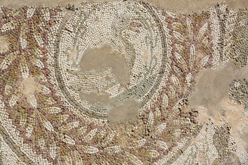 ancient remains of a mosaic of Carthage