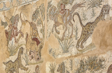 ancient remains of a mosaic of Carthage