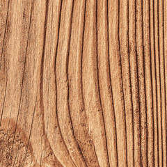 Pine Wood Texture - Illustration