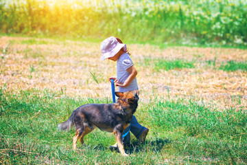 Little girl walking with dog at the meadow 