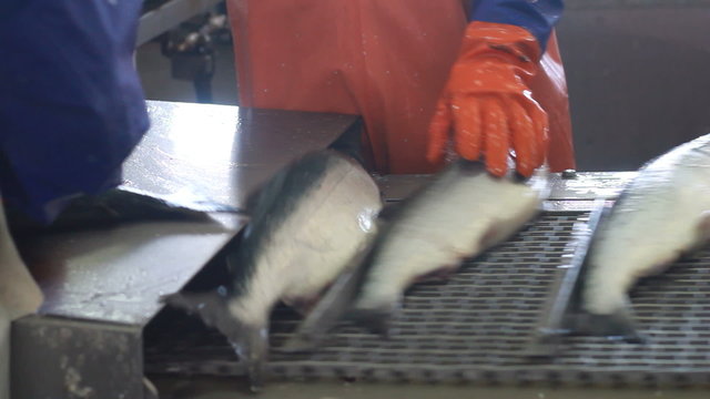 Midsection of workers