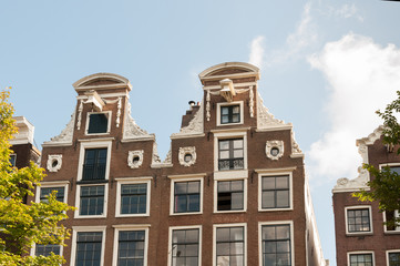 Fototapeta premium alte häuser in amsterdam