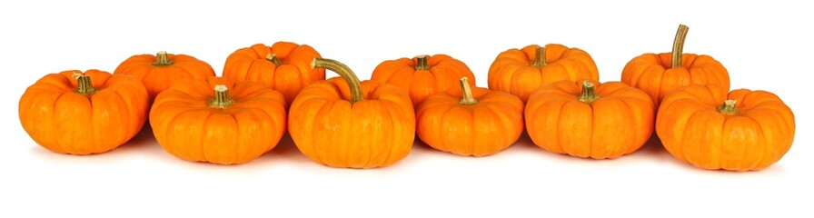 Autumn mini pumpkins forming a border over a white background