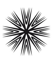 Obraz premium Stern Logo