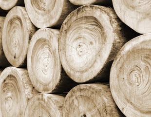 Pile of wood logs or wood background