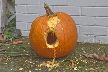Chewed On Pumpkin