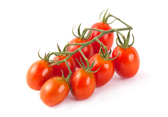Cherry tomatoes branch