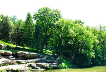 Decorative pond with plants in park