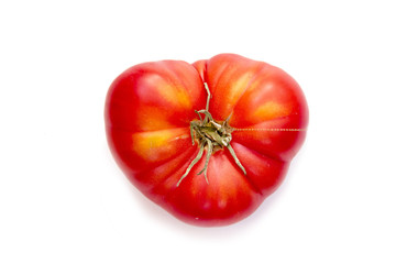 Tomato in the shape of heart on white background