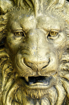 Lion Face Statues