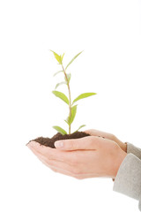 Woman with plant and dirt in hand