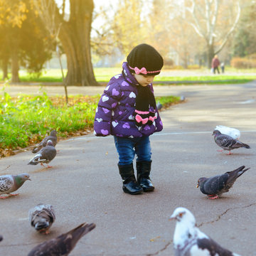 Cute Baby Girl Feeding A Pigeons At The Autumn Park