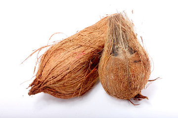 coconut on white background