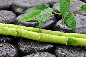 Liście z bambusami na kamieniach do spa