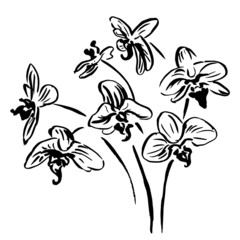 Sketch of flowers. Vector illustration