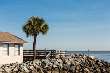 Wood Deck and Palm Tree Over Stone Seawall Under Blue Sky