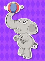 Elephant