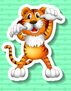 Tiger