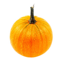 Pumpkin fruits isolated on a white background.