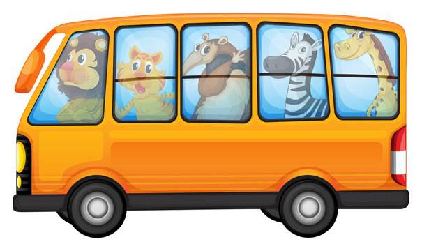 Animals and school bus