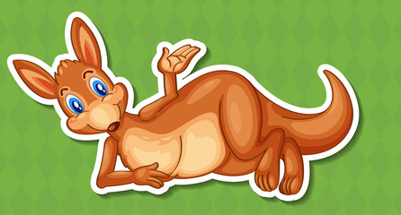 Kangaroo © GraphicsRF