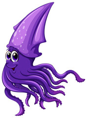 Squid
