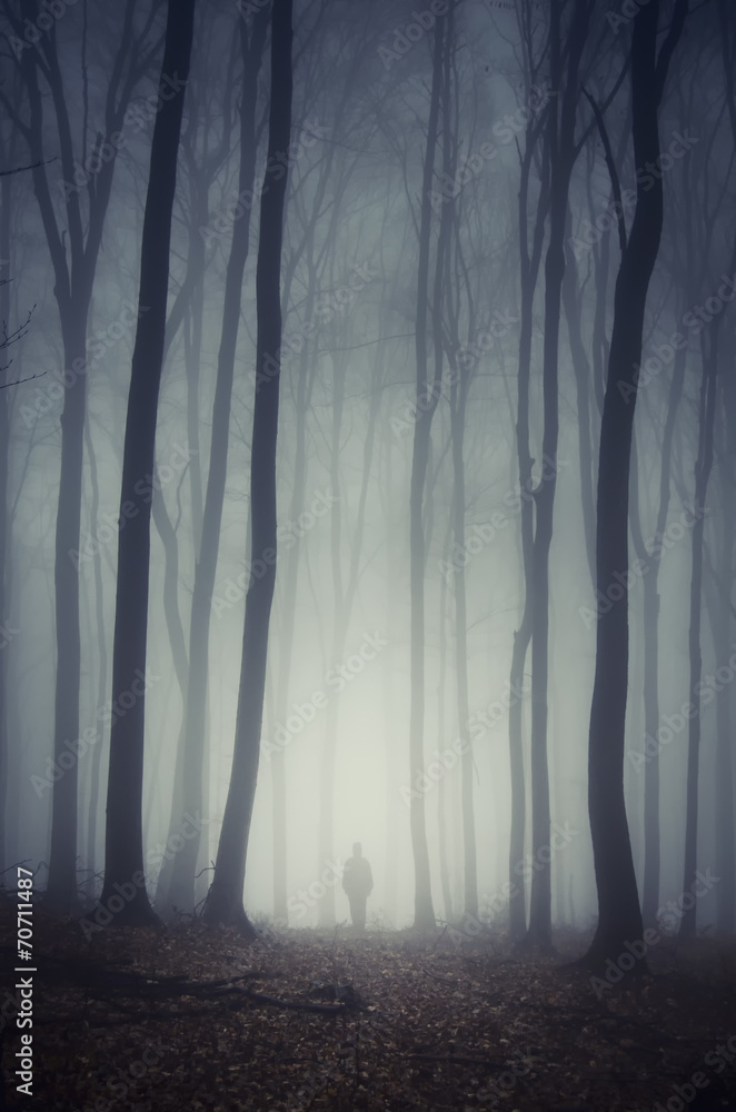 Fototapete man walking on path through spooky dark forest