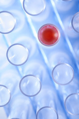 Test Tubes