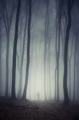  man loopt op pad door spookachtig donker bos © andreiuc88