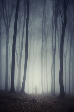 Fototapeta man walking on path through spooky dark forest