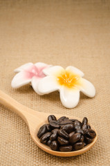 Roasted coffee beans in wooden spoon