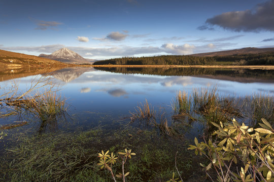 Irish Lake V