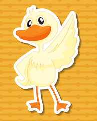 Duck