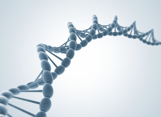 DNA model - obrazy, fototapety, plakaty