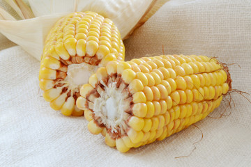 Corn