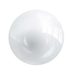 SHINY WHITE VECTOR GLOBE (blank template infographics)