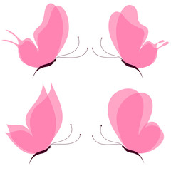 butterflies design