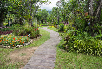 pathway in the tropical garden
