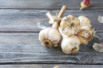 bunch of fresh organic garlic