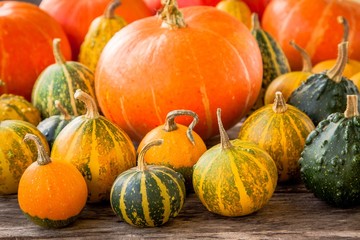 ripe organic colored pumpkins