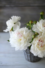 white peonies in a vase