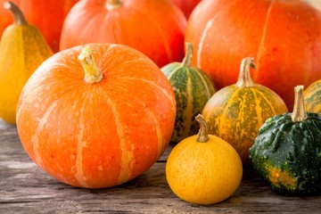 ripe organic colored pumpkins
