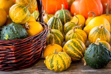 ripe organic colored pumpkins in the basket