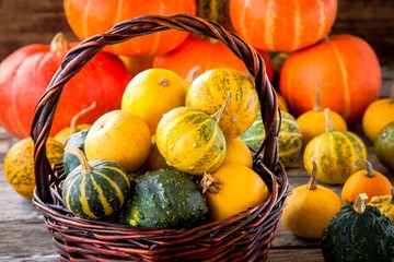 ripe organic colored pumpkins in the basket