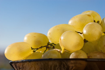 Ripe yellow grapes