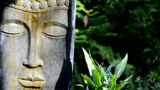 bouddha zen