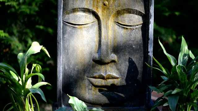 bouddha zen