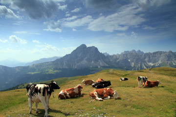 Alm am Peitlerkofel