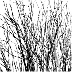 Tree Twigs Silhouette Vector - 70725039