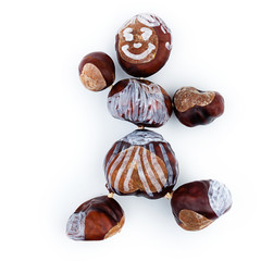 kastanien Männchen vor weissem Hintergrund